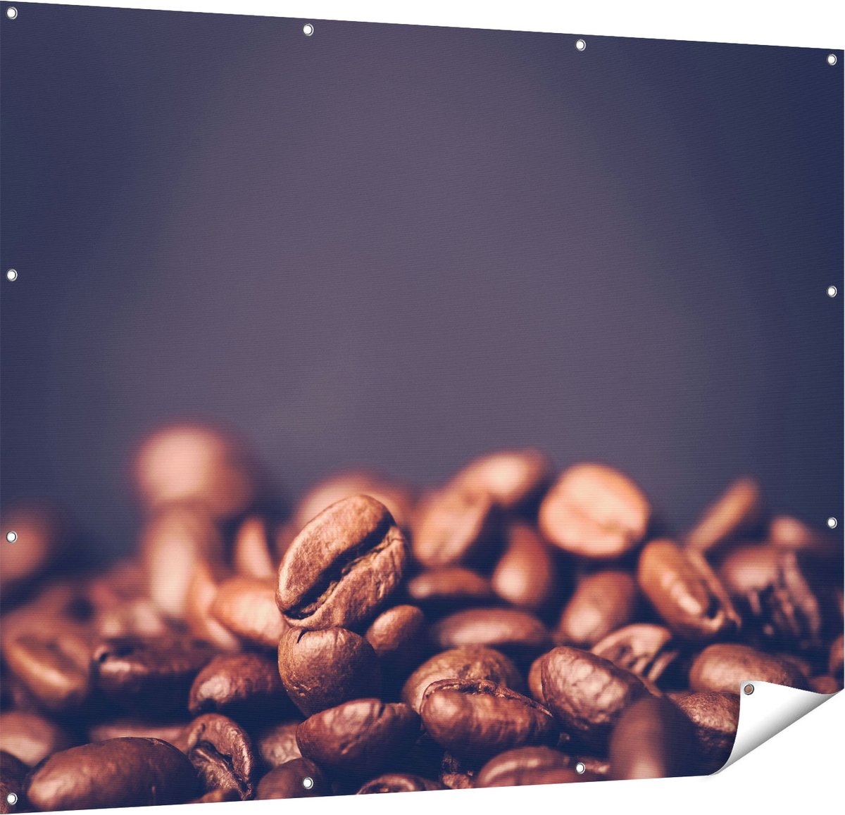 Gards Tuinposter Koffie Bonen op een Zwart Achtergrond - 150x120 cm - Tuindoek - Tuindecoratie - Wanddecoratie buiten - Tuinschilderij Multikleur