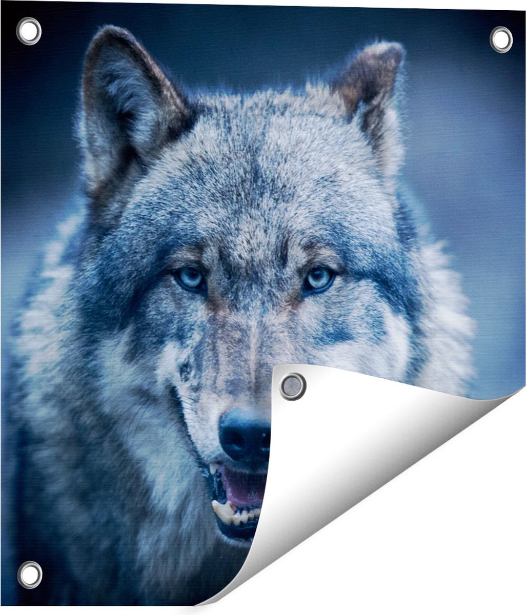 Gards Tuinposter Wolvenkop met Blauwe Ogen - Wolf - 40x40 cm - Tuindoek - Tuindecoratie - Wanddecoratie buiten - Tuinschilderij Multikleur