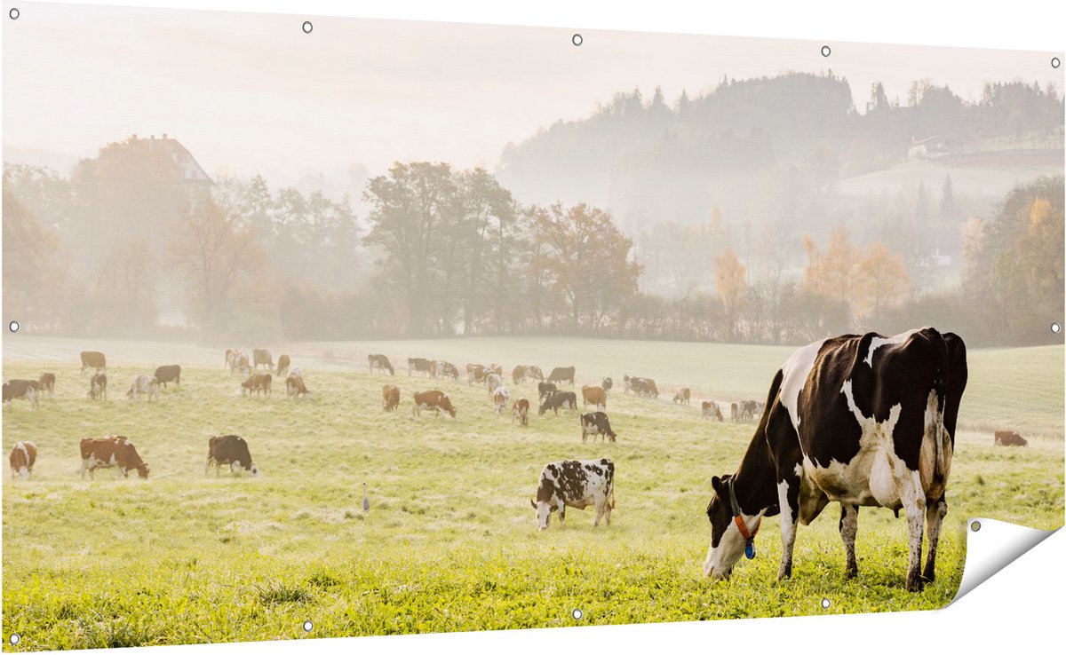 Gards Tuinposter Zwart Witte Koeien in de Wei - 200x100 cm - Tuindoek - Tuindecoratie - Wanddecoratie buiten - Tuinschilderij Multikleur