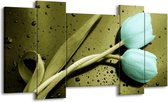 GroepArt - Schilderij - Tulp - Blauw, Zwart, Groen - 120x65 5Luik - Foto Op Canvas - GroepArt 6000+ Schilderijen 0p Canvas Art Collectie - Wanddecoratie