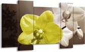 GroepArt - Schilderij - Orchidee - Wit, Groen, Grijs - 120x65 5Luik - Foto Op Canvas - GroepArt 6000+ Schilderijen 0p Canvas Art Collectie - Wanddecoratie