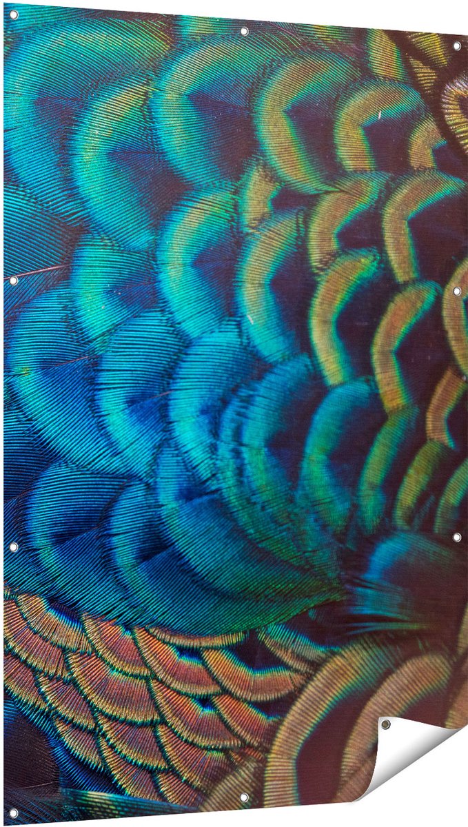 Gards Tuinposter Kleurrijke Pauw Veren van Dichtbij - 100x150 cm - Tuindoek - Tuindecoratie - Wanddecoratie buiten - Tuinschilderij Multikleur