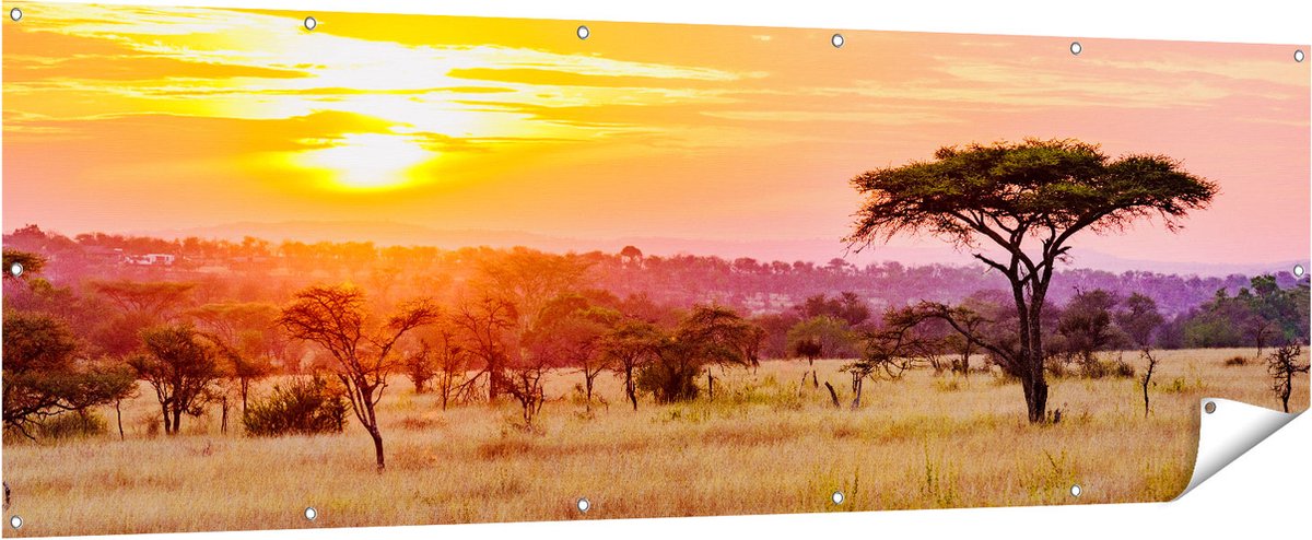 Gards Tuinposter Zonsondergang in de Savanne - 210x70 cm - Tuindoek - Tuindecoratie - Wanddecoratie buiten - Tuinschilderij Multikleur