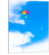 Dibond - Foto van Kleurrijke Vlieger onder Schapenwolken - 75x100 cm Foto op Aluminium (Wanddecoratie van metaal)