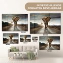 Un éléphant marche sur une route au crépuscule, différents formats affichés.