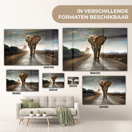 Un éléphant marche sur une route au crépuscule, différents formats affichés.