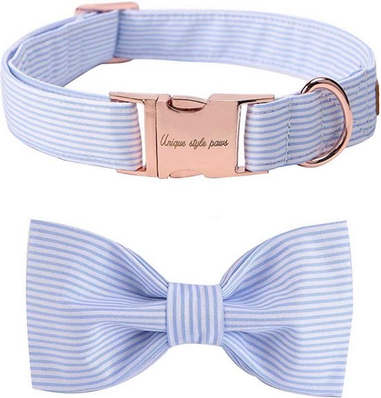 Tips voor het Aanschaffen van een Hondenriem en Halsband | Comfort en Veiligheid voor je Hond