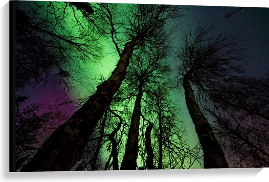 Canvas - Noorderlicht Boven Hoge Smalle Kale Bomen - 90x60 cm Foto op Canvas Schilderij (Wanddecoratie op Canvas)