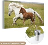 MuchoWow® Glasschilderij 40x20 cm - Schilderij acrylglas - Paarden - Dieren - Gras - Foto op glas - Schilderijen