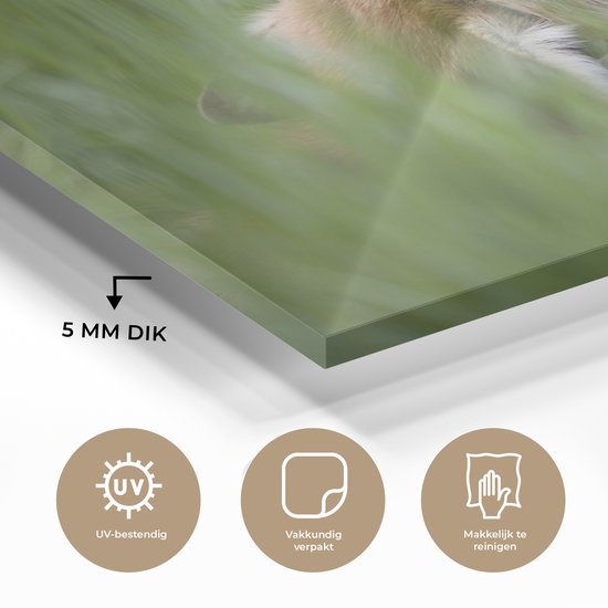 MuchoWow® Peinture sur Verre - Renard - Fleurs - Jaune - 90x60 cm - Peintures sur Verre Acrylique - Photo sur Glas