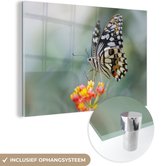 MuchoWow® Glasschilderij 120x80 cm - Schilderij acrylglas - Pages vlinder op bloem - Foto op glas - Schilderijen