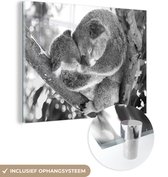 MuchoWow® Glasschilderij 120x90 cm - Schilderij acrylglas - Koala's - Knuffel - Dieren - Kinderen - Jongens - Meisjes - Foto op glas - Schilderijen