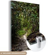 MuchoWow® Glasschilderij 30x40 cm - Schilderij acrylglas - Het knalgroene oerwoud in het prachtige Nationaal park Siberut - Foto op glas - Schilderijen