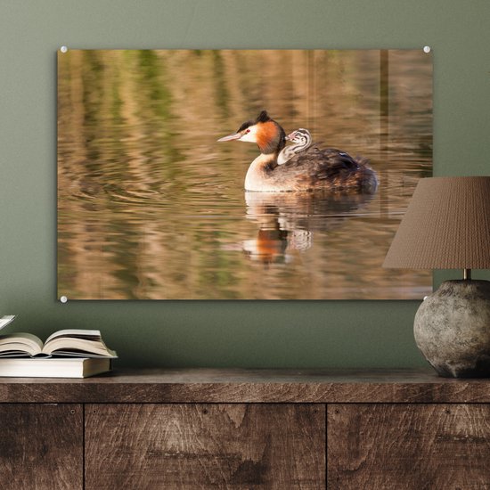 Peinture sur verre - Grèbe nage dans l'eau avec ses petits - 60x40 cm - Peintures sur Verre Peintures - Photo sur Glas