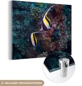 MuchoWow® Glasschilderij 80x60 cm - Schilderij acrylglas - Koraal - Vis - Maanvis - Foto op glas - Schilderijen