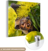 MuchoWow® Glasschilderij 50x50 cm - Schilderij acrylglas - Dieren - Afrika - Madagascar - Foto op glas - Schilderijen
