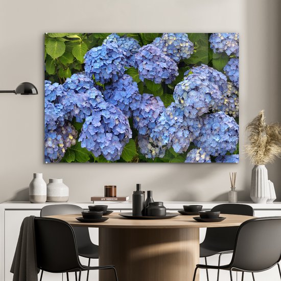 Bouquet de fleurs d'hortensia Plexiglas 90x60 cm - Tirage photo sur Glas (décoration murale en plexiglas)