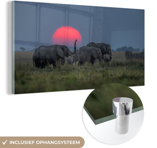 MuchoWow® Glasschilderij 80x40 cm - Schilderij acrylglas - Olifanten onder zonsondergang - Foto op glas - Schilderijen