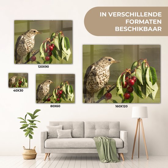 MuchoWow® Peinture sur verre - Vogel sur une branche - 120x90 cm - Peintures sur verre acrylique - Photo sur Glas