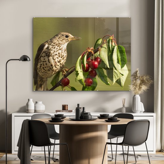 MuchoWow® Peinture sur verre - Vogel sur une branche - 120x90 cm - Peintures sur verre acrylique - Photo sur Glas