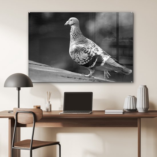 Peinture sur verre MuchoWow® - Pigeon voyageur sur un toit - noir et blanc - 120x80 cm - Peintures sur verre acrylique - Photo sur Glas