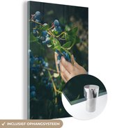 MuchoWow® Glasschilderij 120x180 cm - Schilderij acrylglas - Bes - Blauw - Tak - Foto op glas - Schilderijen