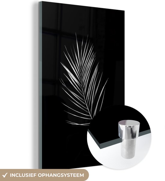 MuchoWow® Glasschilderij 40x60 cm - Schilderij acrylglas - Blad in de vorm van een veer op een zwarte achtergrond - zwart wit - Foto op glas - Schilderijen