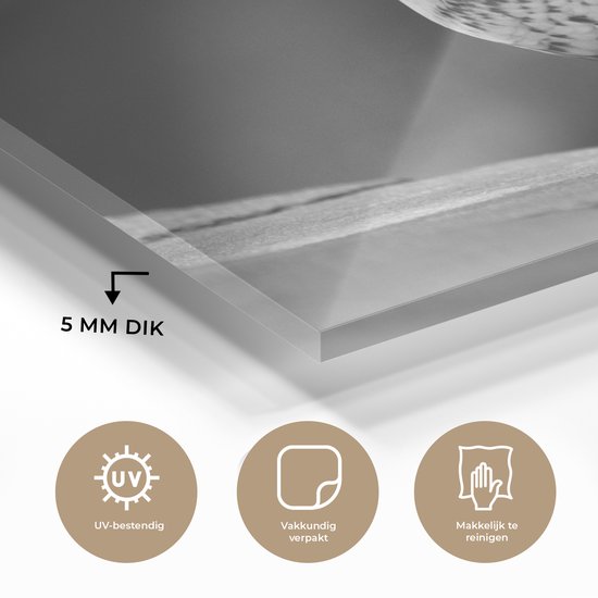 MuchoWow® Peinture sur Verre - Pigeon sur un toit - noir et blanc - 180x120 cm - Peintures sur Verre Acrylique - Photo sur Glas