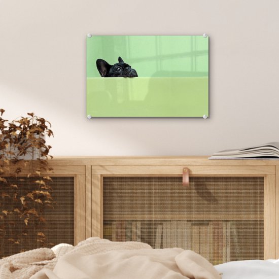 ® Glasschilderij 30x20 cm - Schilderij acrylglas - Franse Bulldog - Groen - Zwart - Foto op glas - Muurdecoratie woonkamer - Wanddecoratie slaapkamer - Schilderijen