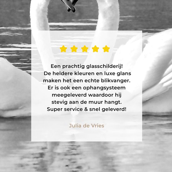 Peinture sur verre - Deux cygnes sur l'eau - noir et blanc - 120x80 cm - Peintures sur Verre Acrylique - Photo sur Glas