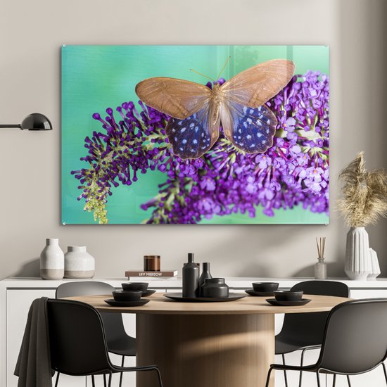 Papillon exotique sur le buisson de papillons Plexiglas 90x60 cm - Tirage photo sur Glas (décoration murale en plexiglas)
