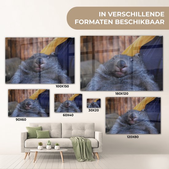 MuchoWow® Peinture sur verre 120x80 cm - Peinture sur verre acrylique - Gros plan wombat endormi - Photo sur verre - Peintures