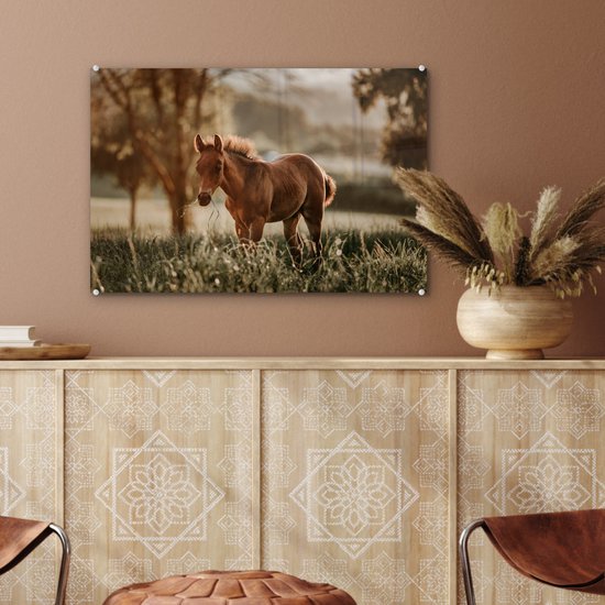 MuchoWow® Peinture sur verre - Cheval - Lumière - Prairie - 60x40 cm - Peintures sur verre acrylique - Photo sur Glas