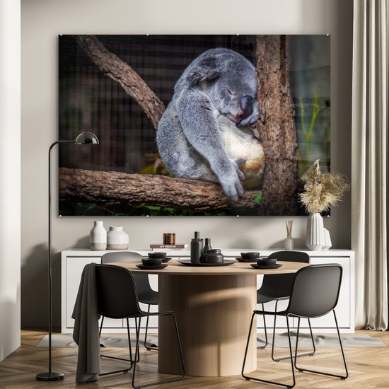 MuchoWow® Peinture sur verre 150x100 cm - Peinture sur verre acrylique - Australie - Koala - Arbre - Photo sur verre - Peintures