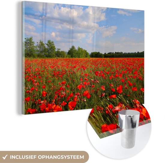 MuchoWow® Peinture sur verre 60x40 cm - Peinture acrylique sur verre - Coquelicots - Fleurs - Printemps - Photo sur verre - Peintures