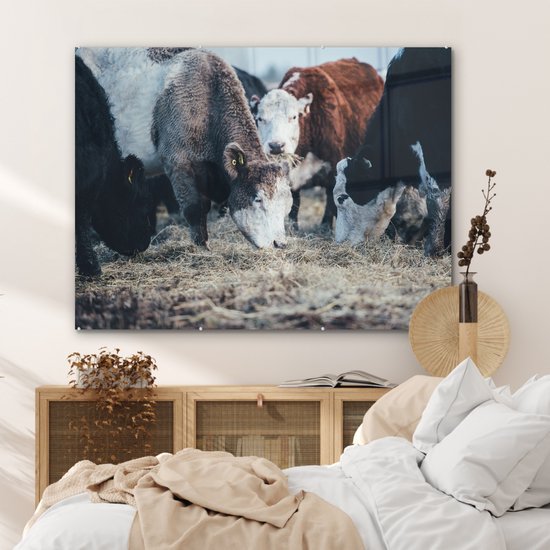 MuchoWow® Peinture sur Verre - Animaux - Vache - Ferme - 120x90 cm - Peintures sur Verre Acrylique - Photo sur Glas