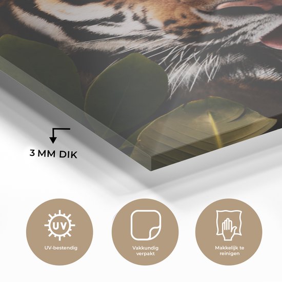 Peinture sur Verre - Tigre - Feuilles - Animaux - 50x50 cm - Peintures sur Verre Peintures - Photo sur Glas