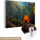 MuchoWow® Glasschilderij 120x80 cm - Schilderij acrylglas - Kelp - Water - Vis - Foto op glas - Schilderijen