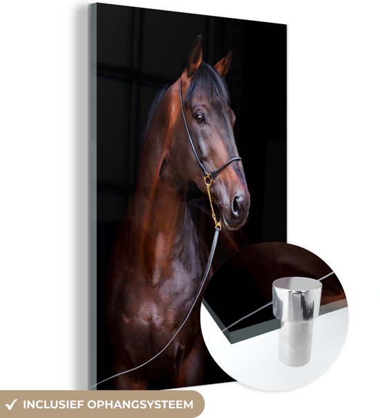 MuchoWow® Glasschilderij - Paard - Bruin - Zwart - Portret - Acrylglas Schilderijen - Foto op Glas