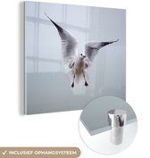 MuchoWow® Glasschilderij 50x50 cm - Schilderij acrylglas - Meeuw - Vleugels - Vogel - Foto op glas - Schilderijen