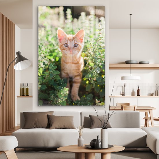 MuchoWow® Peinture sur verre 100x150 cm - Peinture sur verre acrylique - Un portrait d'un chaton dans les buissons - Photo sur verre - Peintures
