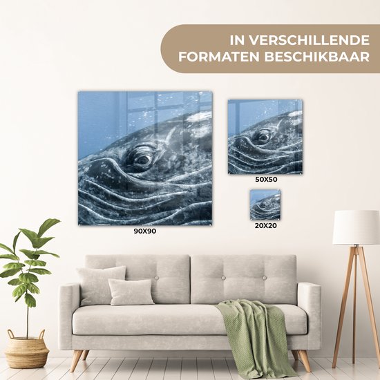 MuchoWow® Glasschilderij 50x50 cm - Schilderij acrylglas - Water - Dieren - Bultrug - Foto op glas - Schilderijen