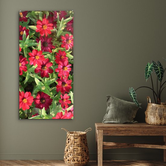 MuchoWow® Glasschilderij 60x120 cm - Schilderij acrylglas - Rode zinnia bloemen tijdens een zonnige dag - Foto op glas - Schilderijen