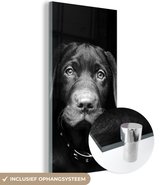 MuchoWow® Peinture sur verre 60x120 cm - Peinture sur verre - Chien profil animal en noir et blanc - Photo sur verre acrylique - Peintures