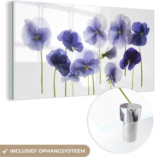 MuchoWow® Glasschilderij 80x40 cm - Schilderij acrylglas - Paarse violen op een lichtbak - Foto op glas - Schilderijen