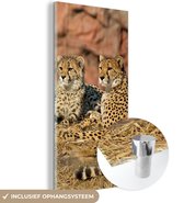 MuchoWow® Glasschilderij 80x160 cm - Schilderij acrylglas - Cheetah moeder en welpen - Foto op glas - Schilderijen