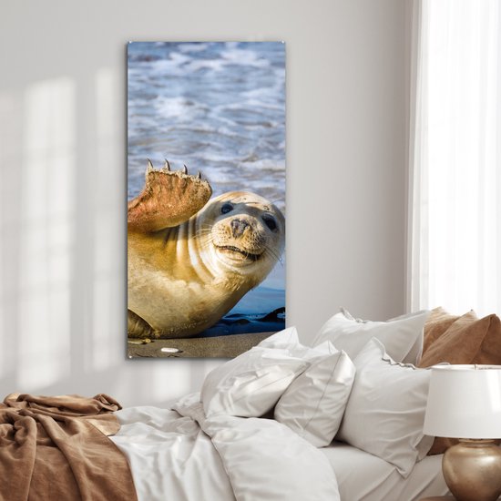 MuchoWow® Peinture sur Verre - Sceau - Drôle - Ondulation - 60x120 cm - Peintures sur Verre Peintures - Photo sur Glas