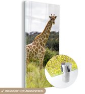 MuchoWow® Glasschilderij 80x160 cm - Schilderij acrylglas - Giraf - Planten - Dier - Foto op glas - Schilderijen
