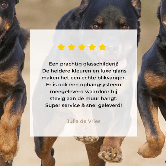 Peinture sur Verre - Rottweilers courant dans une rangée - 80x40 cm - Peintures sur Verre Peintures - Photo sur Glas