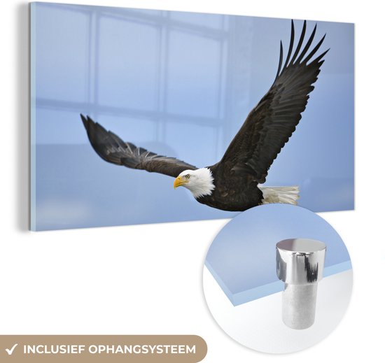 MuchoWow® Glasschilderij 80x40 cm - Schilderij acrylglas - Vogel - Zeearend - Amerika - Foto op glas - Schilderijen